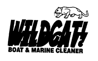 WILDCAT! BOAT & MARINE CLEANER
