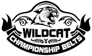 WILDCAT CHAMPIONSHIP BELTS logo