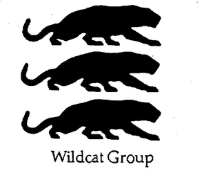WILDCAT GROUP logo