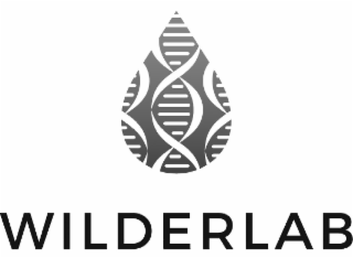 WILDERLAB