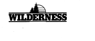 WILDERNESS logo