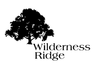 WILDERNESS RIDGE logo