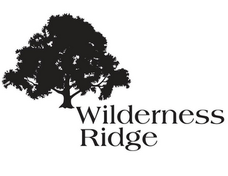 WILDERNESS RIDGE logo