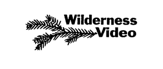 WILDERNESS VIDEO logo