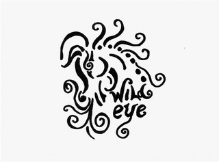 WILDEYE logo