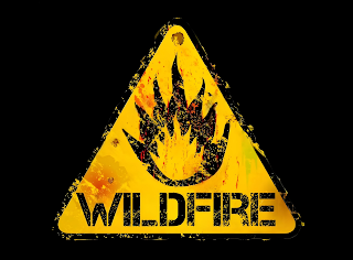 WILDFIRE SPORTS COLLECTIBLES LLC logo