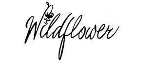 WILDFLOWER logo