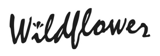 WILDFLOWER logo