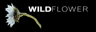 WILDFLOWER logo