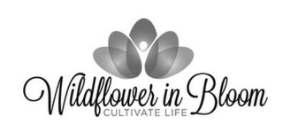 WILDFLOWER IN BLOOM CULTIVATE LIFE logo