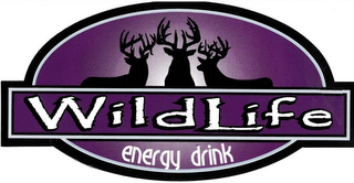 WILDLIFE ENERGY DRINK logo