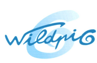 WILDPIG logo