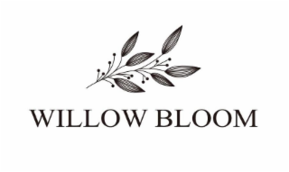 WILLOW BLOOM logo