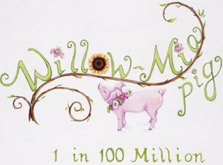 WILLOW-MIA PIG 1 IN 100 MILLION logo