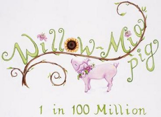WILLOW-MIA PIG 1 IN 100 MILLION logo