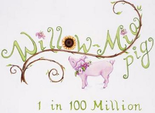 WILLOW-MIA PIG 1 IN 100 MILLION logo