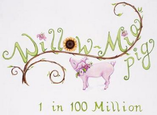 WILLOW-MIA PIG 1 IN 100 MILLION logo