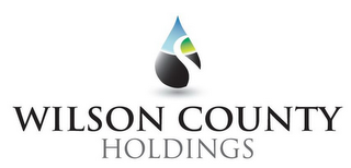 WILSON COUNTY HOLDINGS logo
