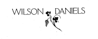 WILSON DANIELS logo