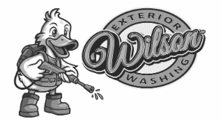 WILSON EXTERIOR WASHING logo