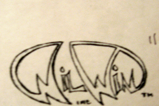 WILWIN logo