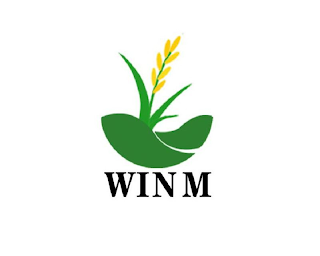 WIN M logo