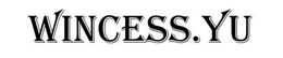 WINCESS.YU logo