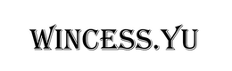 WINCESS.YU logo