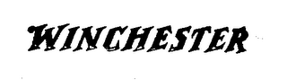 WINCHESTER logo