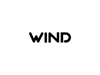 WIND logo