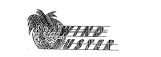 WIND BUSTER logo