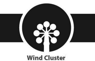 WIND CLUSTER logo