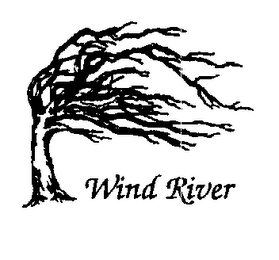 WIND RIVER logo
