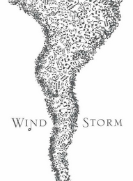 WIND STORM logo