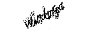 WINDANSEA logo