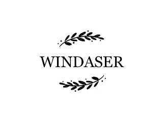 WINDASER logo