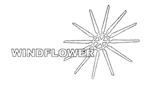 WINDFLOWER logo