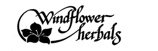WINDFLOWER HERBALS logo