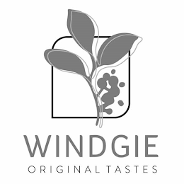 WINDGIE ORIGINAL TASTES logo