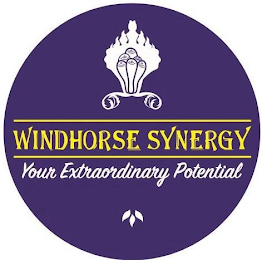 WINDHORSE SYNERGY YOUR EXTRAORDINARY POTENTIAL logo