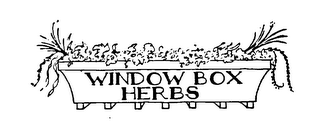 WINDOW BOX HERBS logo