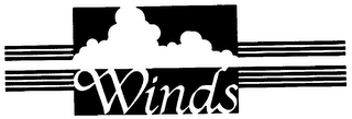 WINDS logo
