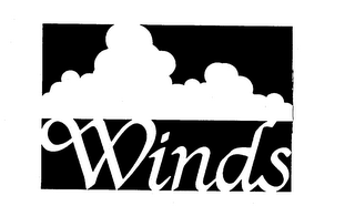 WINDS logo