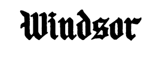 WINDSOR logo