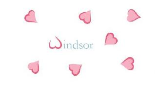 WINDSOR logo