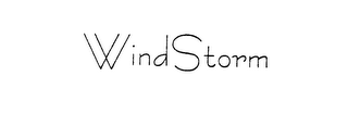 WINDSTORM logo