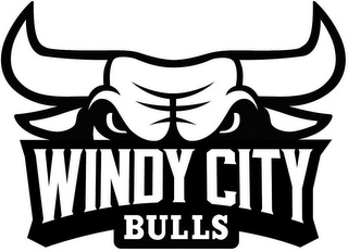 WINDY CITY BULLS logo
