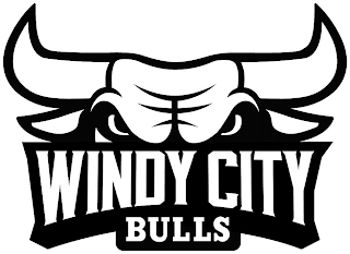 WINDY CITY BULLS logo