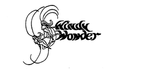 WINDY WONDER logo