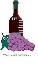 WINE CELLAR ENVIRONMENTS 55° logo
